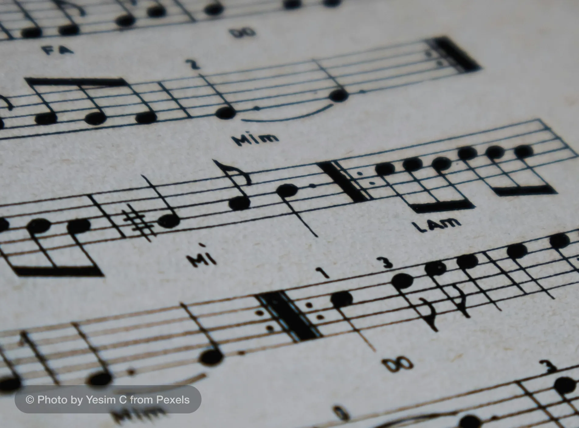 Sight-Reading w/ Mollie Stone